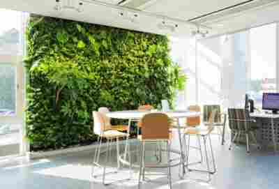 Особенности озеленения офиса
