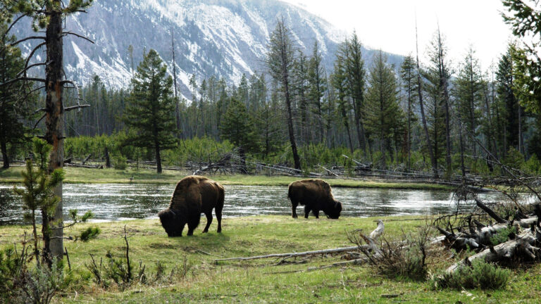 Натуральные чудеса Европы: парки и заповедники