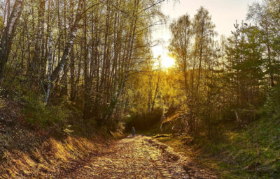 Медельпаден: дорога Золота