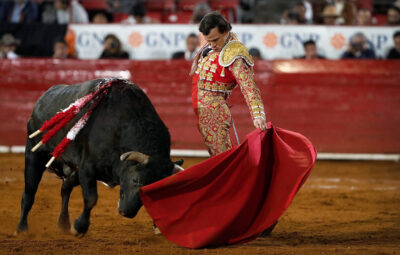 Коррида в Испании: история, традиции и современность