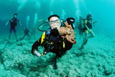 Лучшие места испании для дайвинга