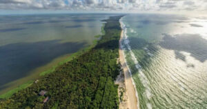 Туризм: советы | Куршская коса: национальный парк и уникальная природная зона